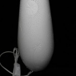 LAMPADA-L'OCA-NERA